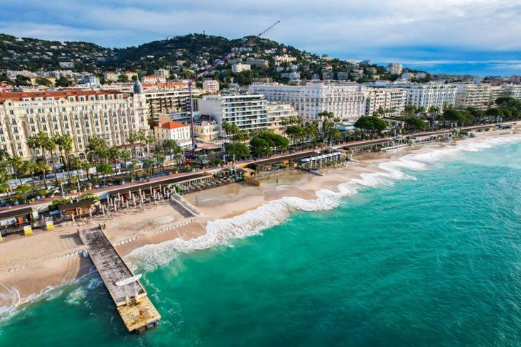 Lutte contre les nuisibles à Cannes (06)