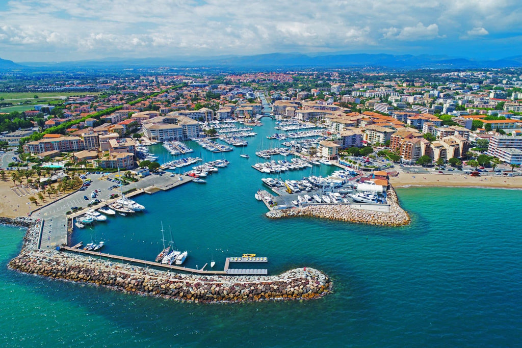 Rats à Fréjus : pourquoi sont-ils de plus en plus présents et comment protéger durablement votre maison ?