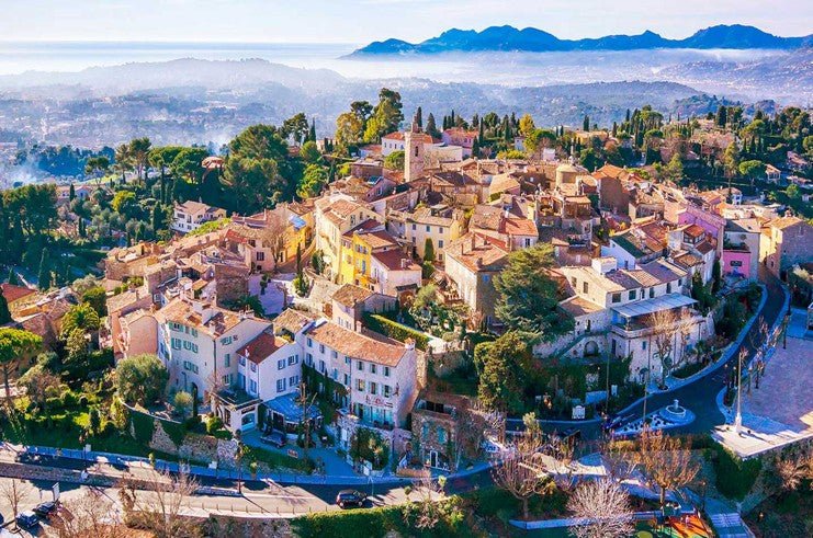 Lutte contre les nuisibles à Mougins (06)