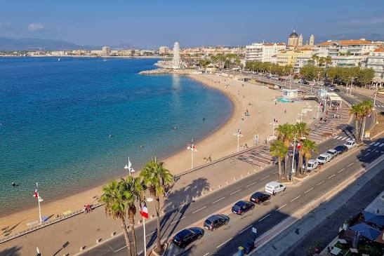 Punaises de lit à Saint-Raphaël : le guide complet pour protéger votre logement