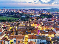Pourquoi les cafards envahissent-ils certains commerces à Fréjus ? - RATAK3D