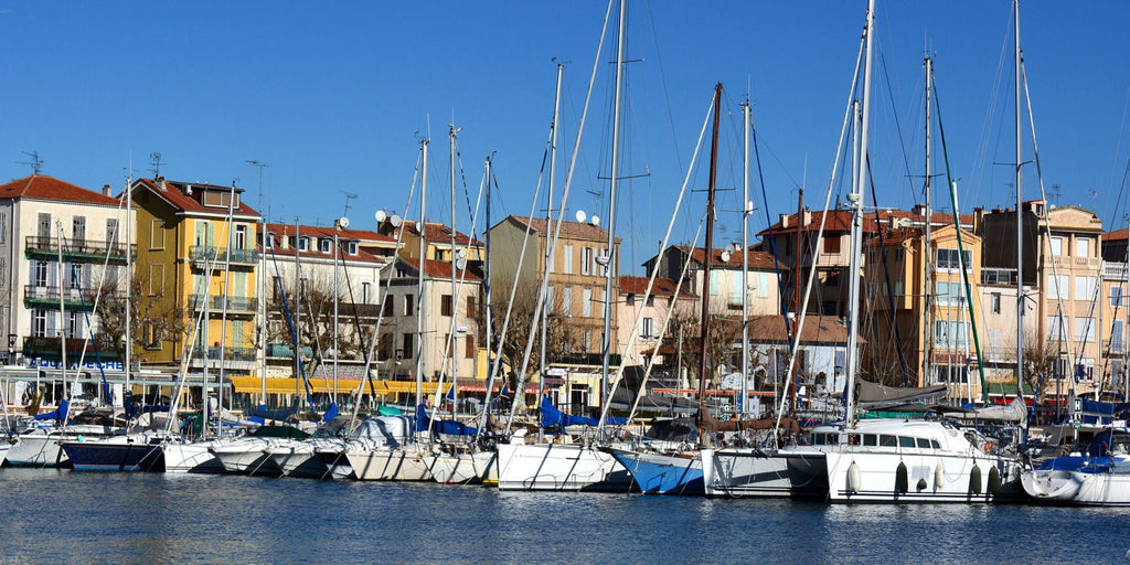 Lutte contre les nuisibles à Vallauris – Golfe-Juan (06)