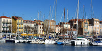 Lutte contre les nuisibles à Vallauris – Golfe-Juan (06) - Ratak3D - Lutte contre les nuisibles dans le Var et Alpes-Maritimes