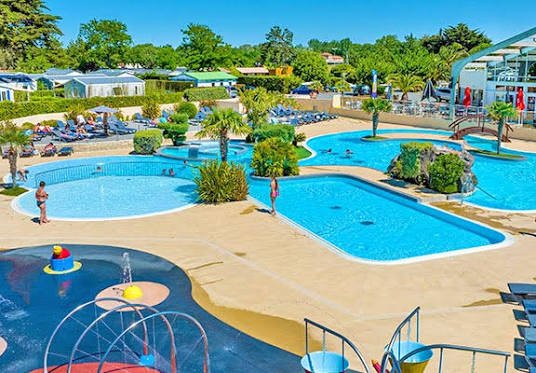Camping dans le Var : comment prévenir rats, souris et cafards ?