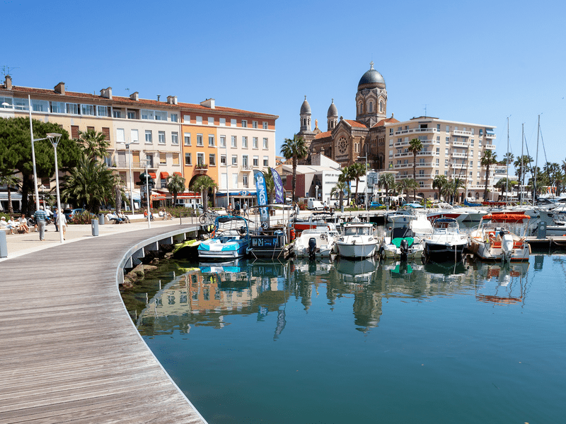 Dératisation à Saint-Raphaël : tout savoir pour éliminer durablement les rats et les souris