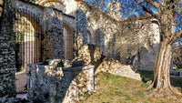 Lutte contre les nuisibles à Châteauneuf-Grasse (06) - Ratak3D - Lutte contre les nuisibles dans le Var et Alpes-Maritimes