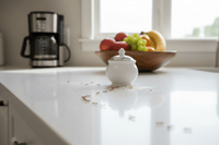 Pourquoi les fourmis arrivent dans la cuisine ? Causes et solutions à Draguignan - Ratak3D