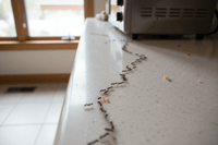 Comment se débarrasser des fourmis efficacement dans une maison à Draguignan ?
