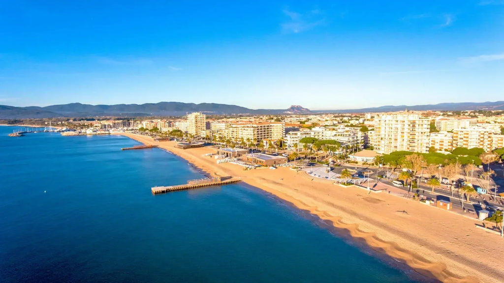 Punaises de lit à Fréjus : comment reconnaître une infestation avant qu'il ne soit trop tard ?