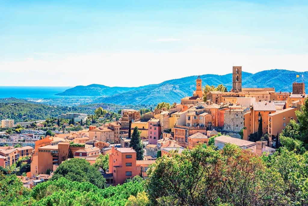 Lutte contre les nuisibles à Grasse (06)