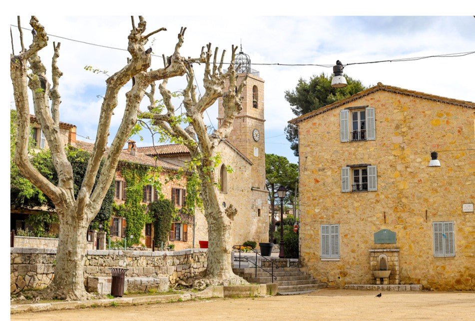Lutte contre les nuisibles au Rouret (06)