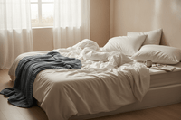 Comment éviter une infestation de punaises de lit à Draguignan ? - RATAK3D