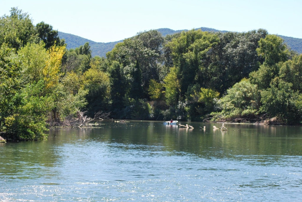 Lutte contre les nuisibles à Puget-sur-Argens (83)
