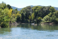 Lutte contre les nuisibles à Puget-sur-Argens (83) - Ratak3D - Lutte contre les nuisibles dans le Var et Alpes-Maritimes