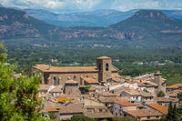 Rats dans votre maison à Roquebrune-sur-Argens : les signes qui doivent vous alerter - RATAK3D