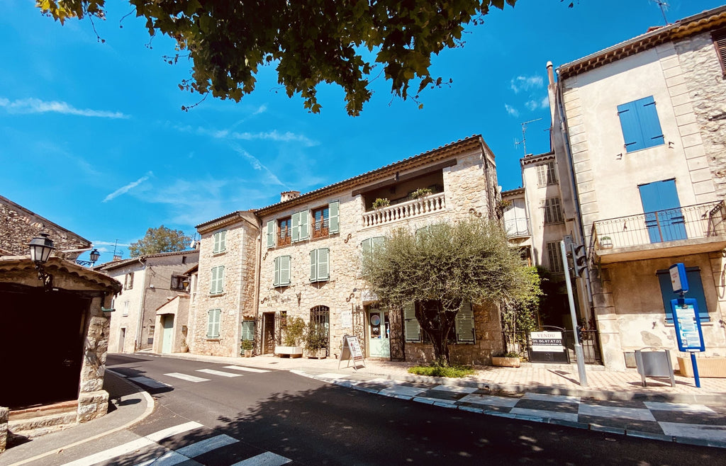 Lutte contre les nuisibles à La Roquette-sur-Siagne (06)