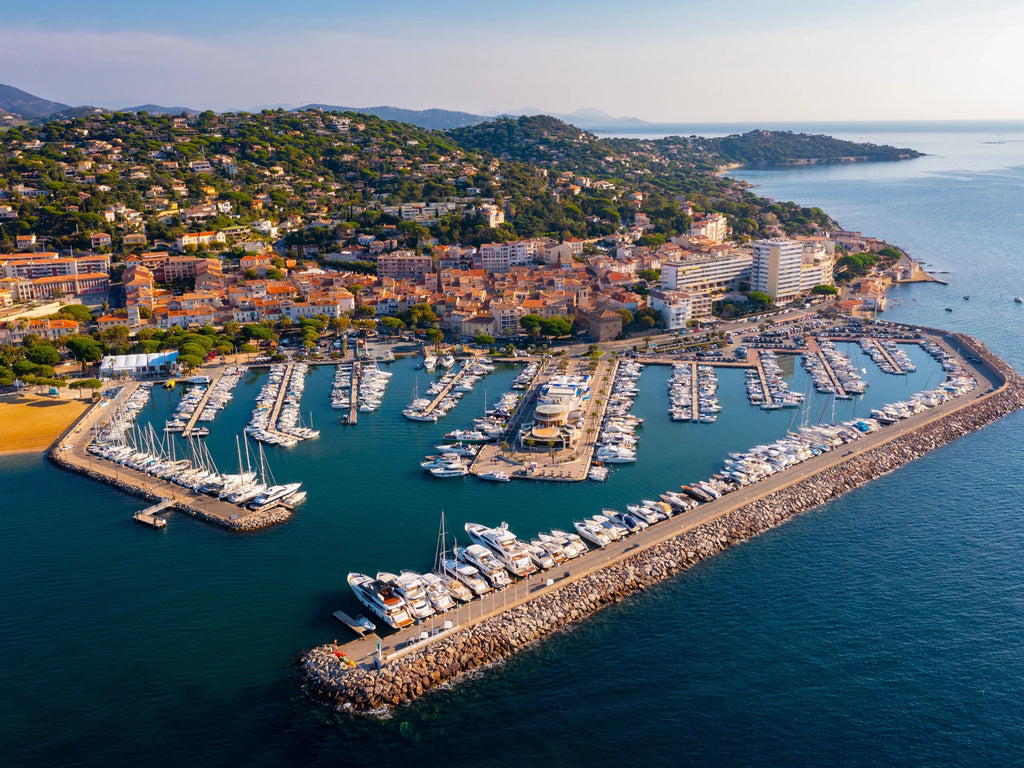 Rats à Sainte-Maxime : pourquoi les villas sont-elles plus exposées ?
