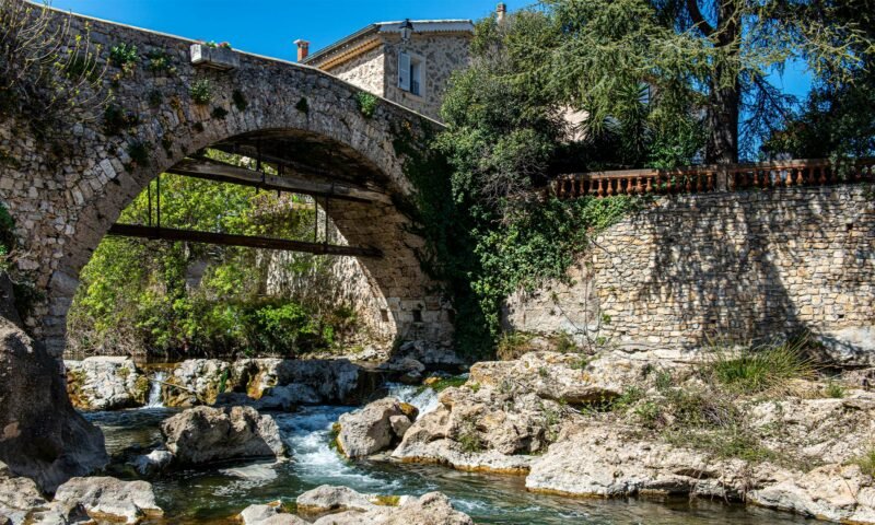 Lutte contre les nuisibles à Trans-en-Provence (83)