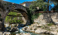 Lutte contre les nuisibles à Trans-en-Provence (83) - Ratak3D - Lutte contre les nuisibles dans le Var et Alpes-Maritimes
